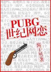 PUBG世纪网恋小说封面