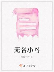 无名小鸟 无名小鸟