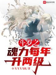 斗罗之魂力每年升两级 斗罗之魂力每年升两级