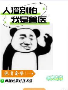 随机夺取两点人渣碎片 随机夺取两点人渣碎片