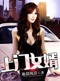 上门女婿 上门女婿